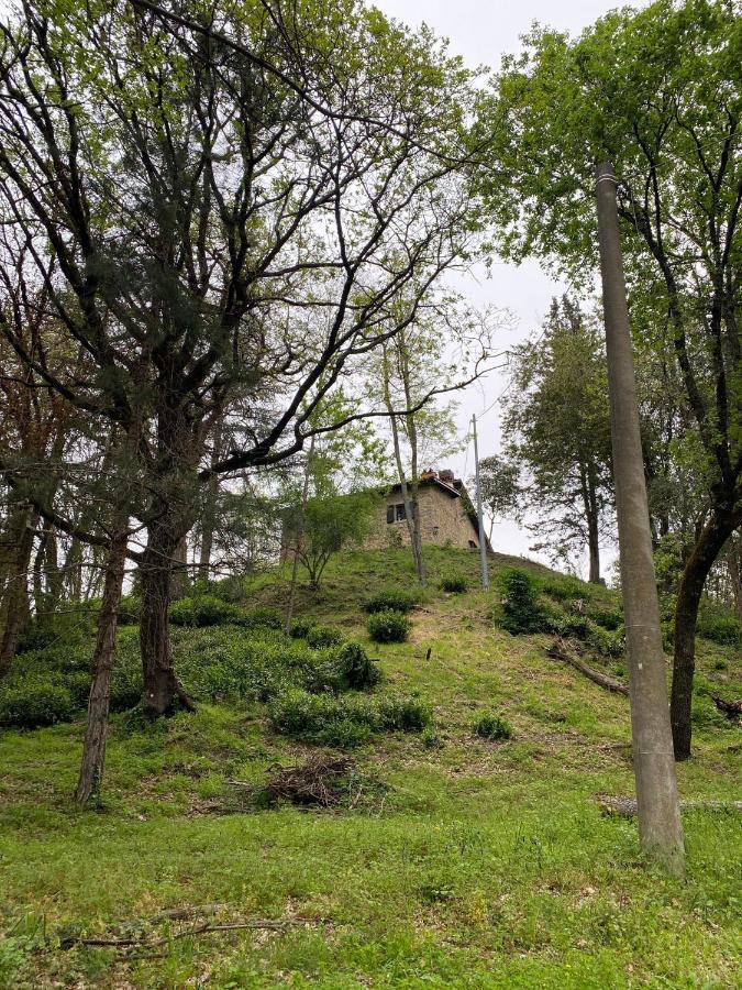 Naturemugello Oasi Naturista Dicomano 外观 照片