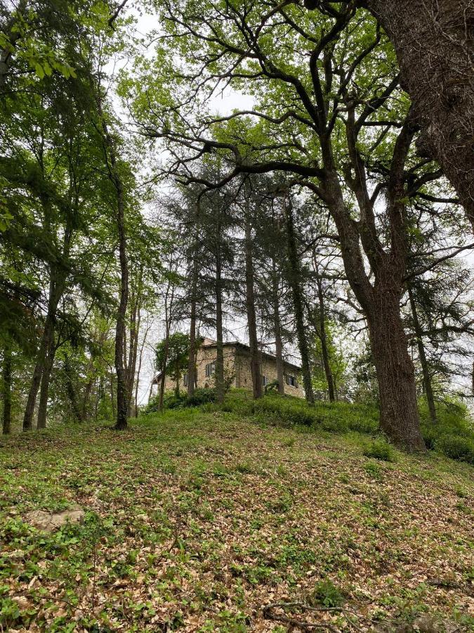 Naturemugello Oasi Naturista Dicomano 外观 照片